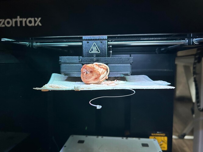 Zortrax
